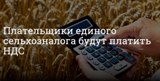 С 1 января 2019 года организации и индивидуальные предприниматели, применяющие  ЕСХН, признаются плательщиками НДС